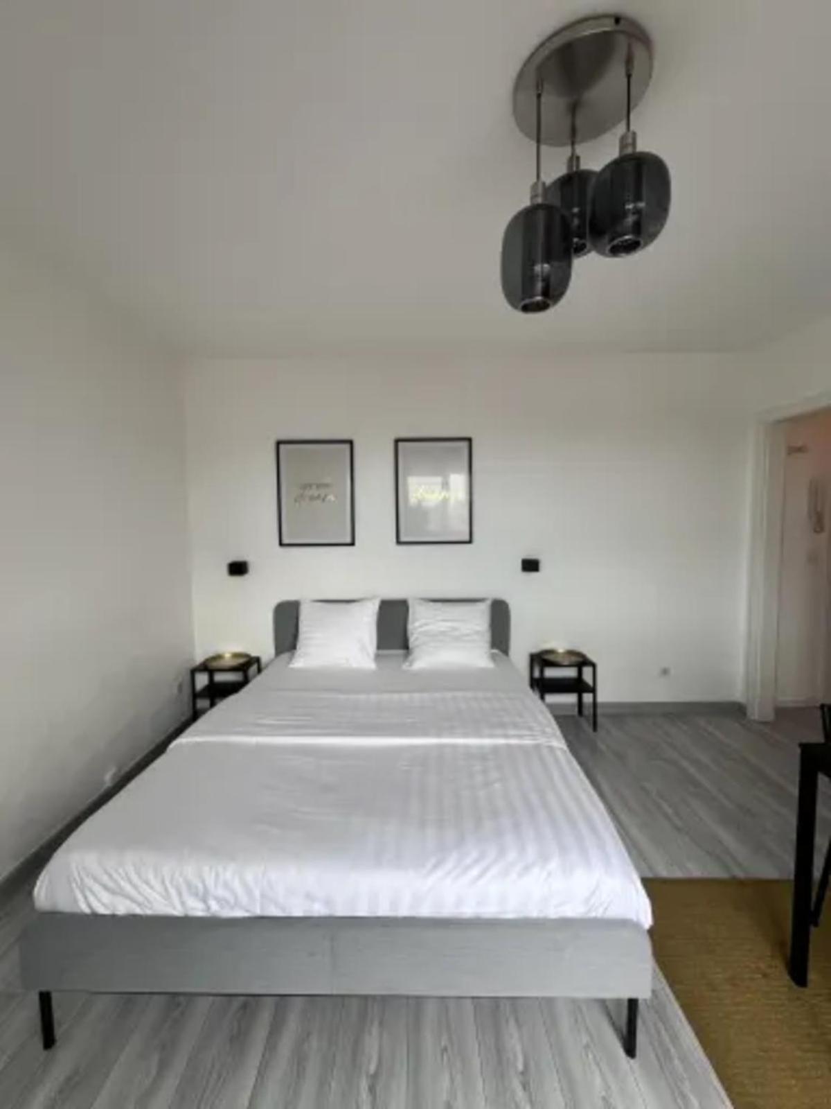 Cosy Rent Strasbourg Wifi Terrasse St Aloise Villa Bagian luar foto